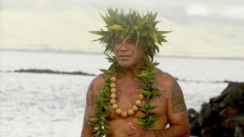 The Dark Hobby Bild 1