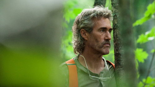 Le bruit des arbres Bild 3