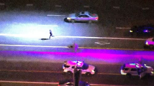 Live PD Presents: PD Cam Bild 3