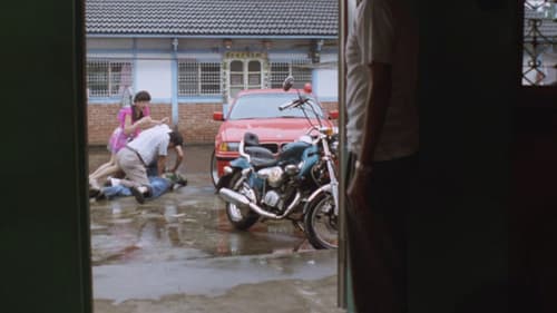 南國再見，南國 Bild 8