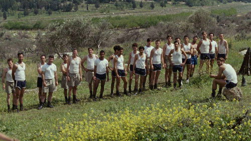 התגנבות יחידים Bild 2