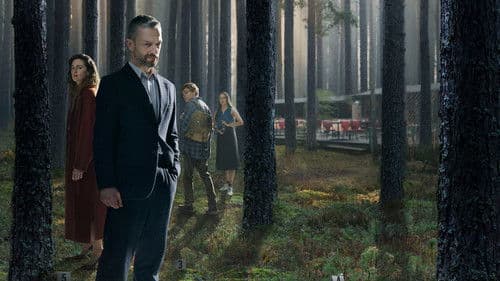 Das Grab im Wald Bild 4