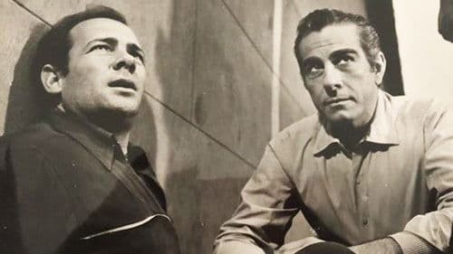 Procesado 1040 Bild 4