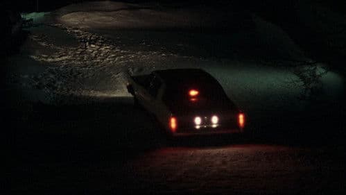 I Am Not A Serial Killer Bild 4