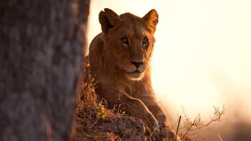 Creative Killers Bild 1