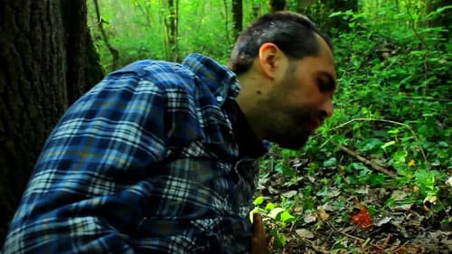 Chronologia Human Bild 1