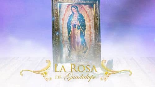 La Rosa De Guadalupe Bild 1
