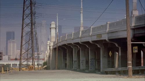 C2 - Killerinsekt Bild 7