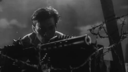 Chị Tư Hậu Bild 8