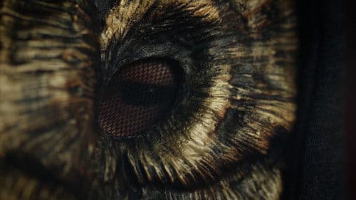 La découverte de la Chouette d'or Bild 2