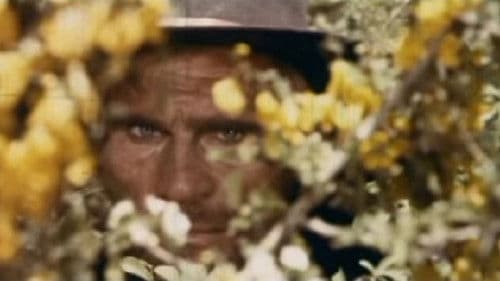 Vamos a matar Sartana Bild 1