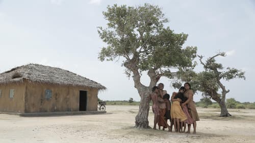 දැවෙන විහඟුන් Bild 1