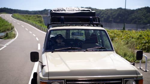 Swim on Vacation Bild 1