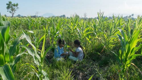 Sichtbar und unsichtbar Bild 4