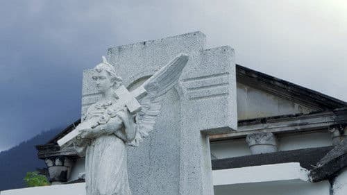 Por lo que Perdimos Bild 2