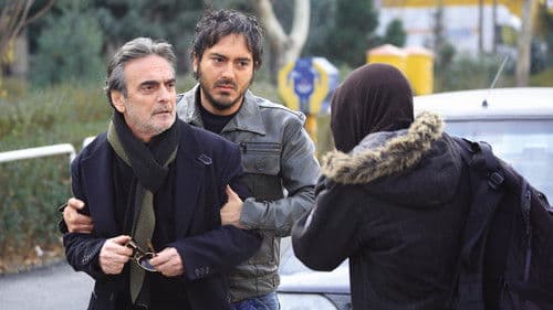 Eine iranische Frau Bild 2