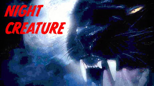 Night Creature Bild 3