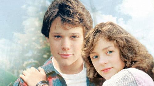 Der Knabe, der fliegen konnte Bild 7