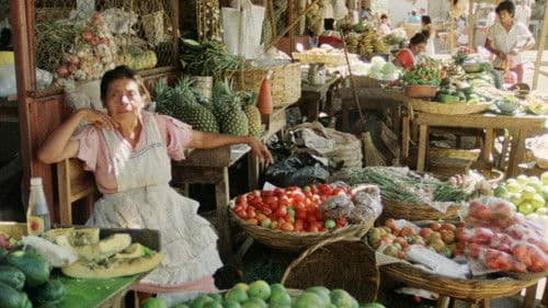 Unterwegs in Nikaragua - Eine filmische Reisebeschreibung für Kinder Bild 1