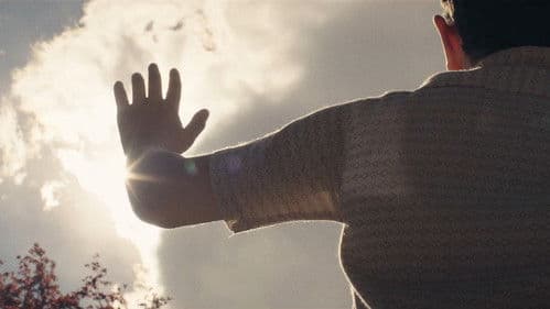 My Pretty Pony Bild 6