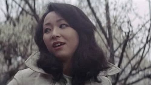 実録エロ事師たち 巡業花電車 Bild 7