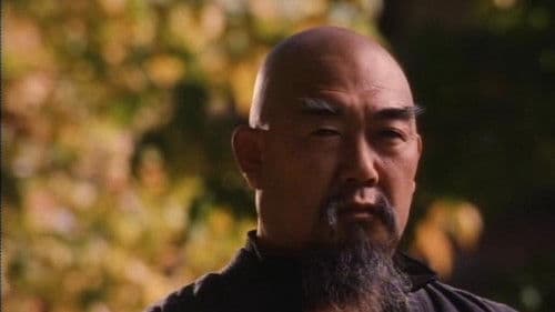 Power Man - Der Ring der Macht Bild 2