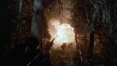 Die Brut des Adlers Bild 8