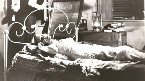 My World Dies Screaming Bild 1