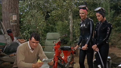 Ein Goldfisch an der Leine Bild 4