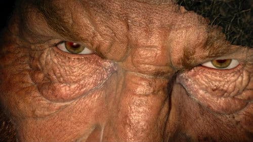 BFG - Big Friendly Giant Bild 5