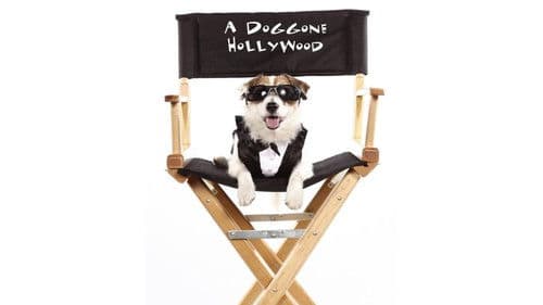 A Doggone Hollywood Bild 1