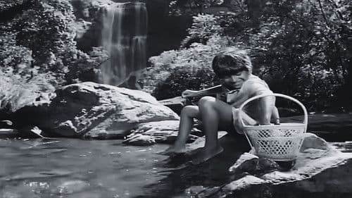 ಟ್ಟದ ಹೂವು Bild 1