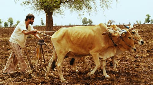 गाभ्रीचा पाऊस Bild 1