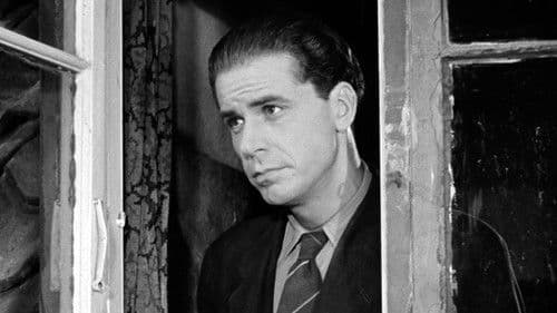 Spurve under taget Bild 1