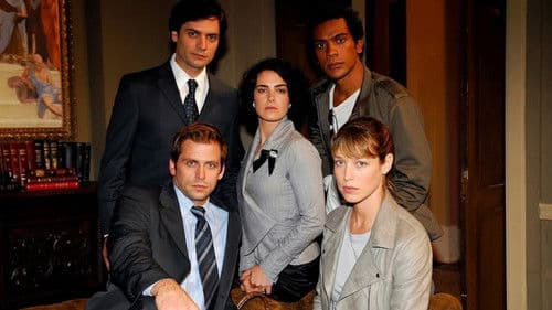 Na Forma da Lei Bild 2