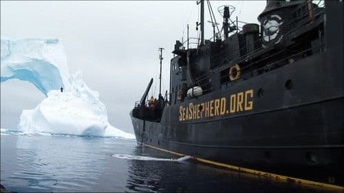 Am Ende Der Welt Bild 4