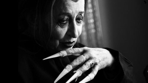 Portret z pamięci Bild 1