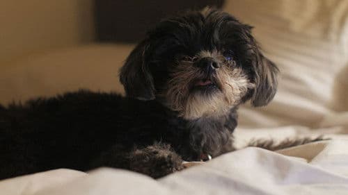 Norman Norman Bild 1