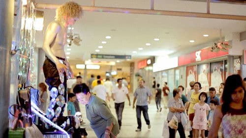 Singapore Minstrel Bild 8