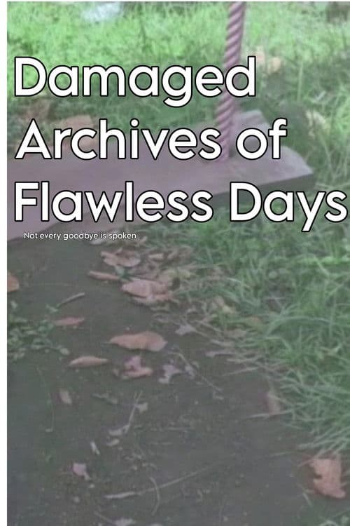 Damaged Archives of Flawless Days