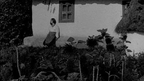 Василина Bild 1