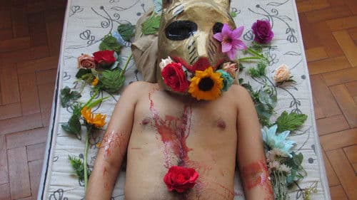 A Carcaça da La Ursa Bild 6