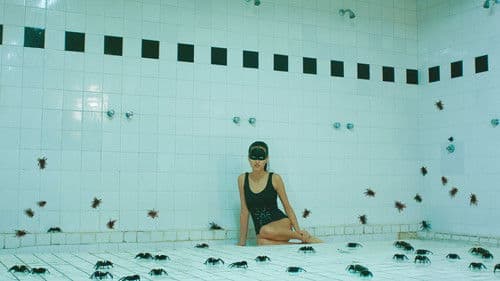 Las Arácnidas Bild 1