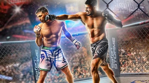 ब्रदर्स Bild 6