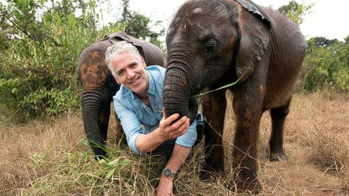 Gordon Buchanan: Elephant Family & Me Bild 1