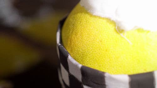 JuiZy Journey Bild 2