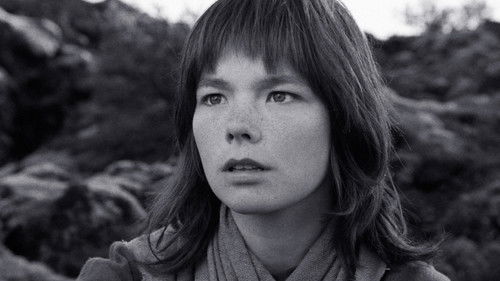 Der Wacholderbaum Bild 1