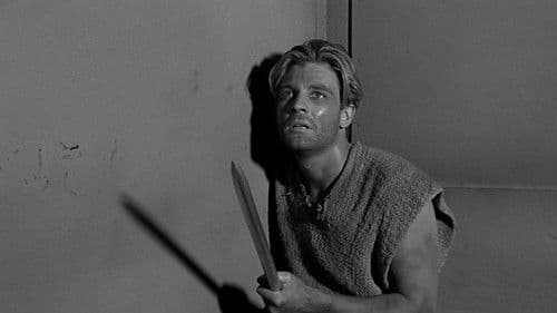 Die unglaubliche Geschichte des Mister C. Bild 5