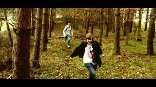 Schwarzer Wald Bild 1