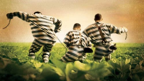 O Brother, Where Art Thou? - Eine Mississippi-Odyssee Bild 8